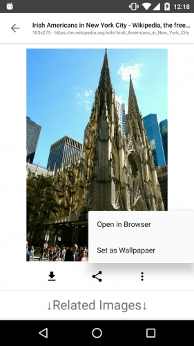 اندروید ImageSearchMan - Image Search دانلود برنامه