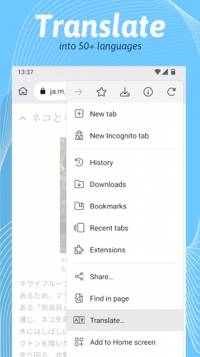اندروید Kiwi Browser - Fast & Quiet دانلود برنامه