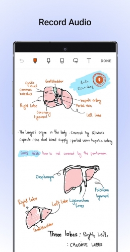 اندروید Noteshelf - Notes, Annotations دانلود برنامه