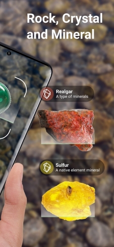 اندروید Rock Identifier: Stone ID دانلود برنامه