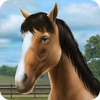 My Horse بازی